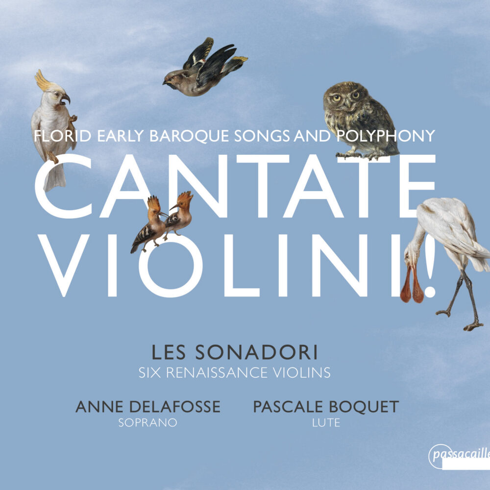 Cantate Violini!